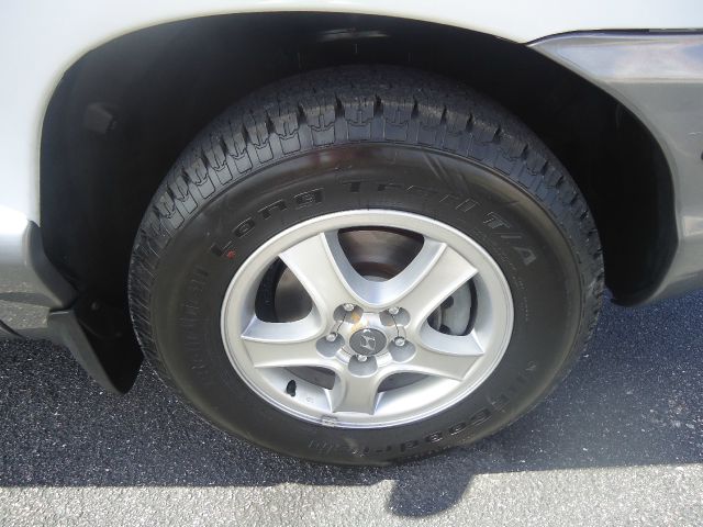 Hyundai Santa Fe 2003 photo 9