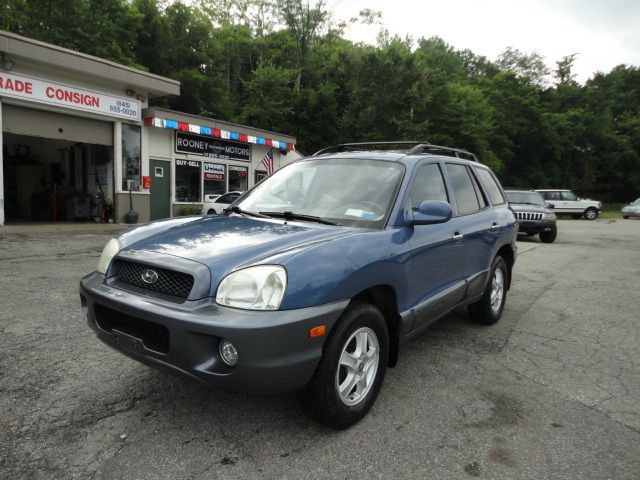 Hyundai Santa Fe 2003 photo 3