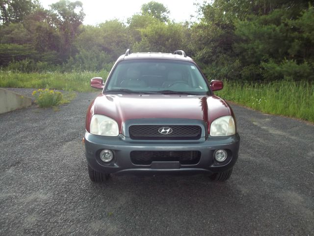 Hyundai Santa Fe 2003 photo 2
