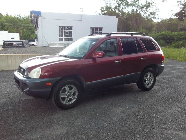 Hyundai Santa Fe 2003 photo 3