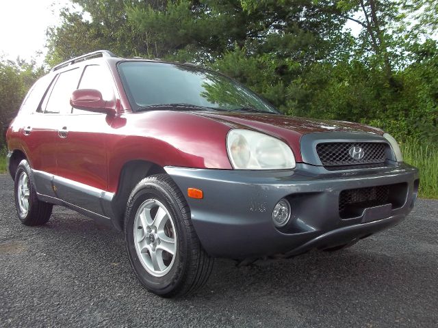 Hyundai Santa Fe 2003 photo 4