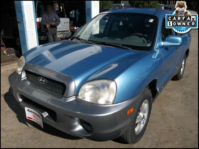Hyundai Santa Fe 2003 photo 1