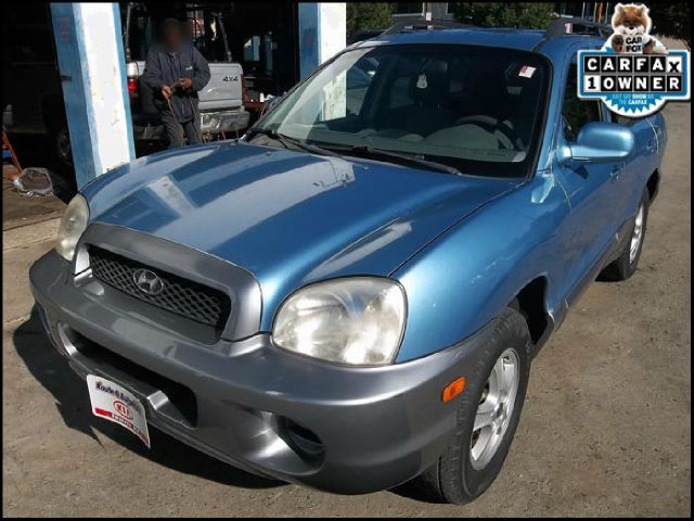 Hyundai Santa Fe 2003 photo 1