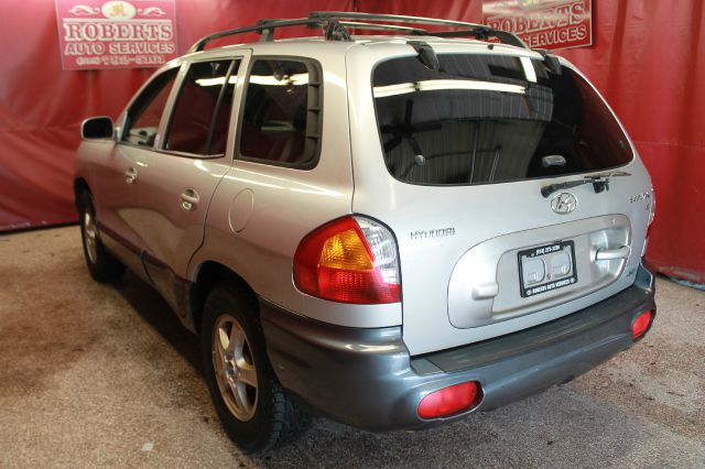 Hyundai Santa Fe 2003 photo 1