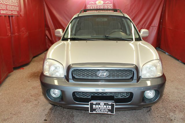 Hyundai Santa Fe 2003 photo 3