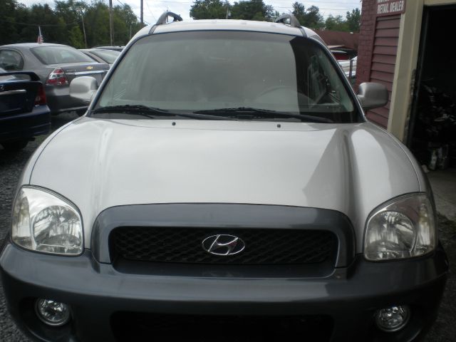 Hyundai Santa Fe 2003 photo 6