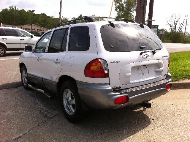 Hyundai Santa Fe 2003 photo 1