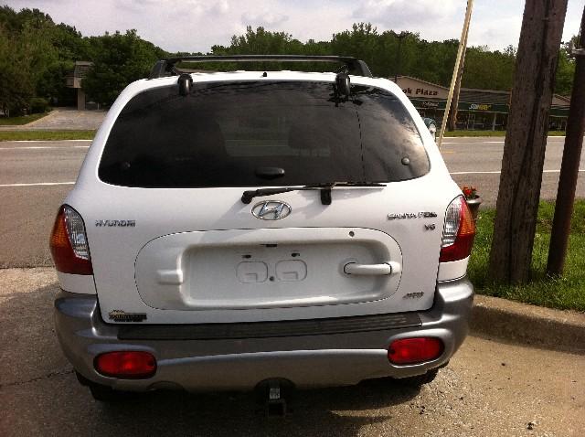 Hyundai Santa Fe 2003 photo 2