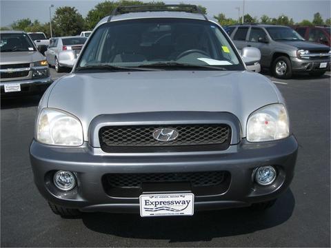 Hyundai Santa Fe 2003 photo 1