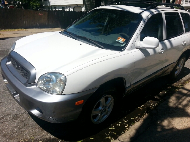 Hyundai Santa Fe 2003 photo 11