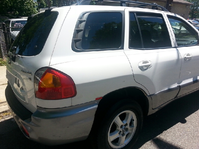 Hyundai Santa Fe 2003 photo 12