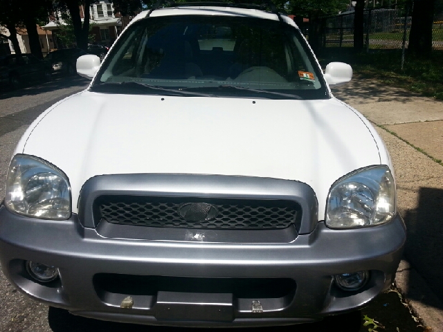 Hyundai Santa Fe 2003 photo 2