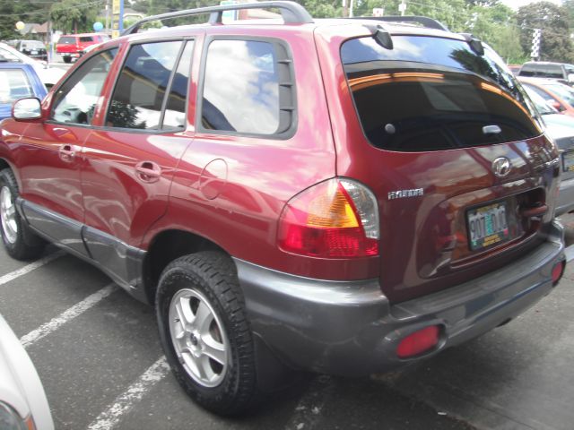 Hyundai Santa Fe 2003 photo 1