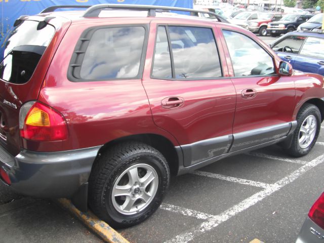Hyundai Santa Fe 2003 photo 4