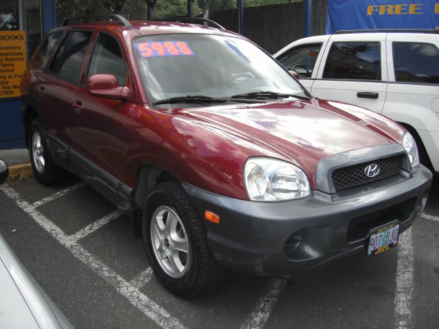 Hyundai Santa Fe 2003 photo 5