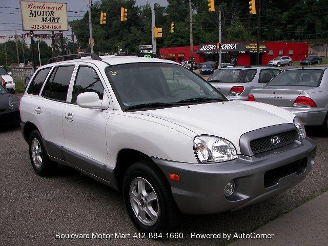 Hyundai Santa Fe 2003 photo 1