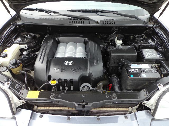 Hyundai Santa Fe 2003 photo 10