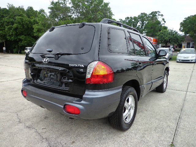 Hyundai Santa Fe 2003 photo 14