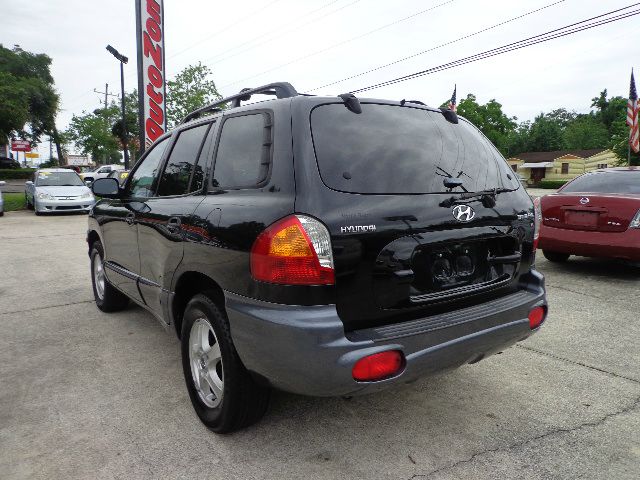 Hyundai Santa Fe 2003 photo 19