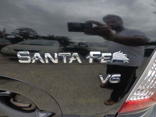 Hyundai Santa Fe 2003 photo 7