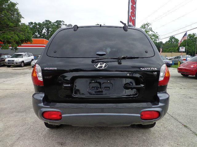 Hyundai Santa Fe 2003 photo 8