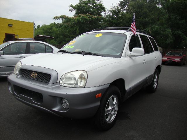 Hyundai Santa Fe 2003 photo 3