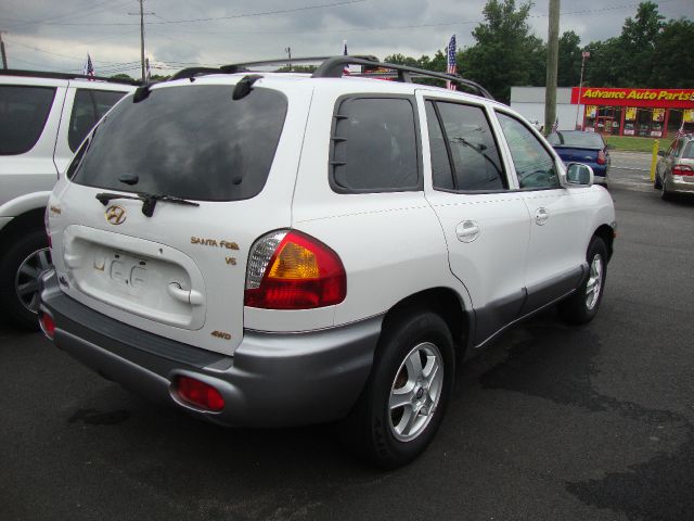 Hyundai Santa Fe 2003 photo 4