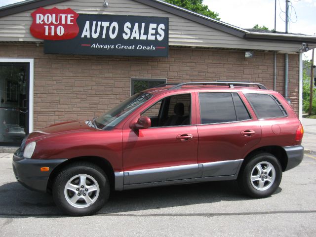 Hyundai Santa Fe 2003 photo 3