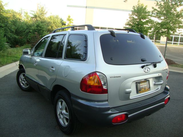 Hyundai Santa Fe 2003 photo 4