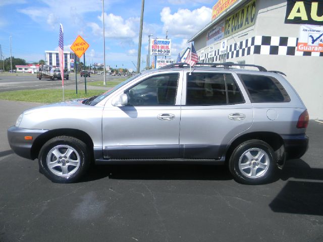 Hyundai Santa Fe 2003 photo 1