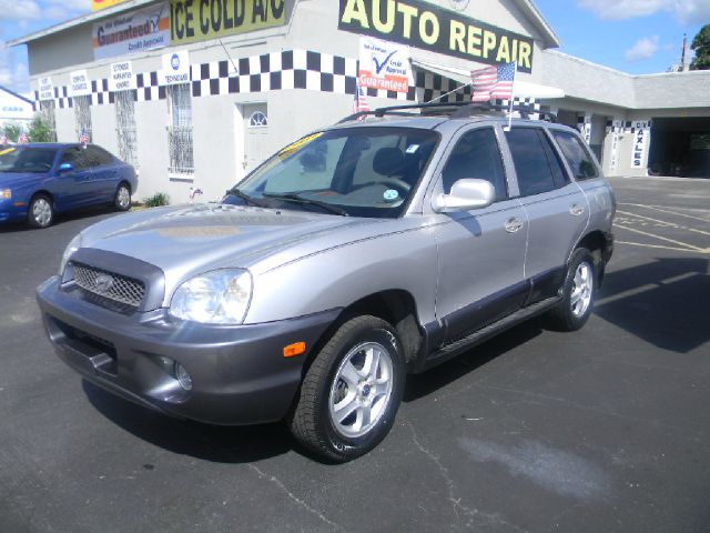 Hyundai Santa Fe 2003 photo 2