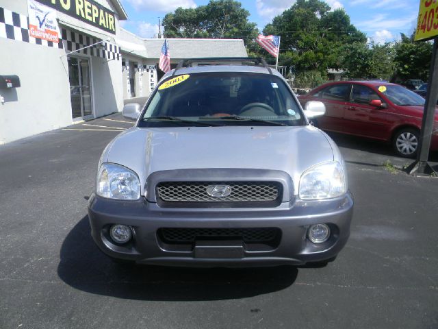Hyundai Santa Fe 2003 photo 3