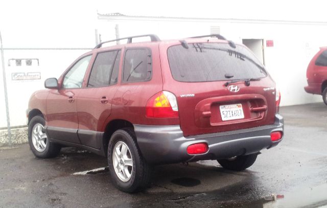 Hyundai Santa Fe 2003 photo 1