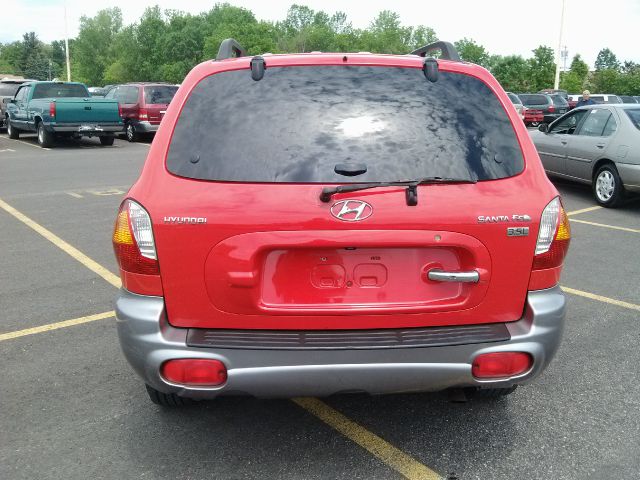 Hyundai Santa Fe 2003 photo 14