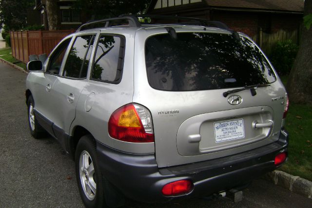Hyundai Santa Fe 2003 photo 2