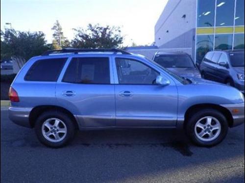 Hyundai Santa Fe 2003 photo 3