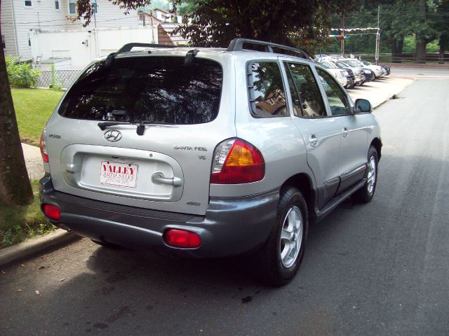 Hyundai Santa Fe 2003 photo 0