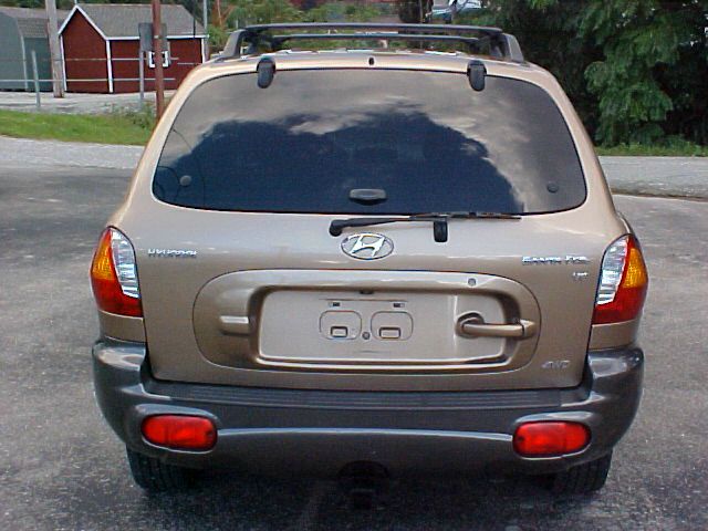 Hyundai Santa Fe 2003 photo 1