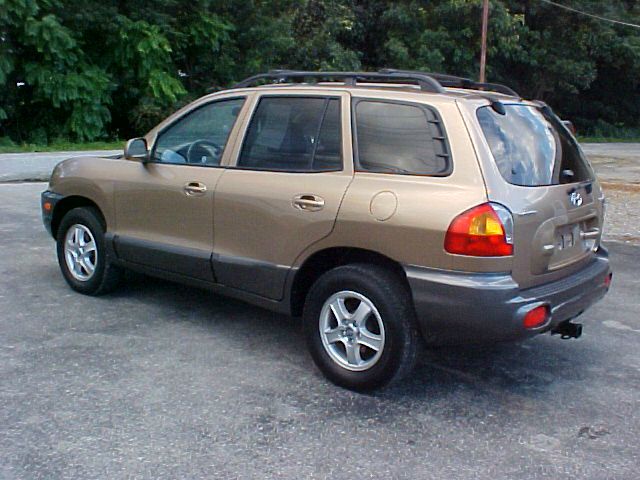 Hyundai Santa Fe 2003 photo 2