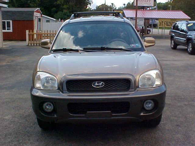 Hyundai Santa Fe 2003 photo 3