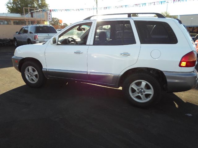Hyundai Santa Fe 2003 photo 1