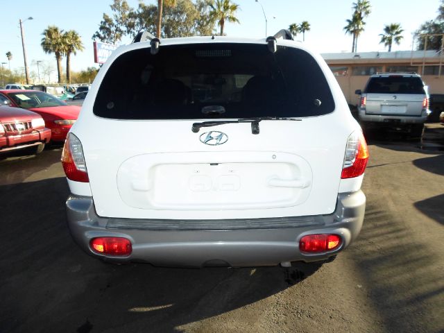 Hyundai Santa Fe 2003 photo 2