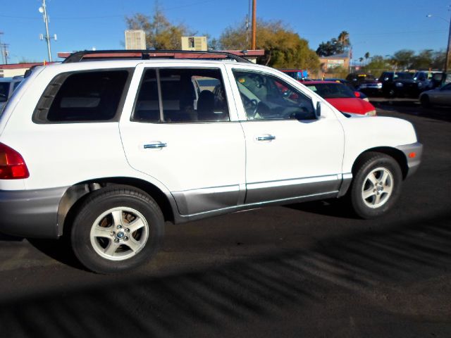 Hyundai Santa Fe 2003 photo 3