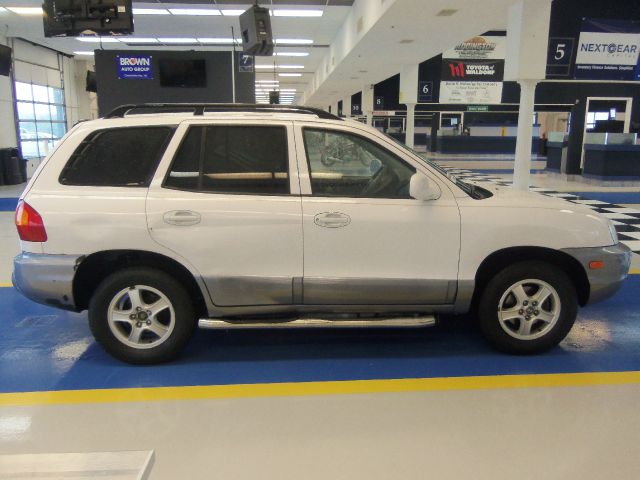 Hyundai Santa Fe 2003 photo 1