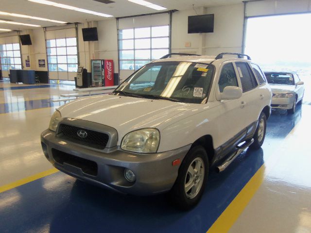 Hyundai Santa Fe 2003 photo 10