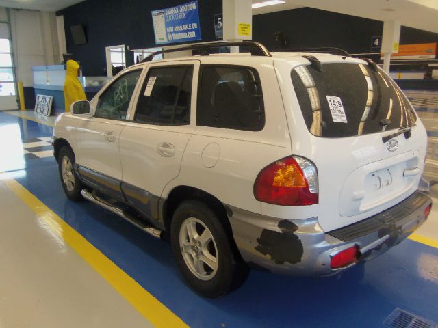 Hyundai Santa Fe 2003 photo 11