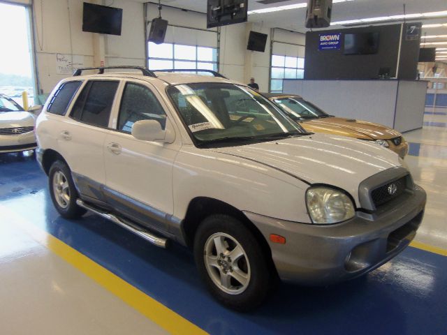 Hyundai Santa Fe 2003 photo 2
