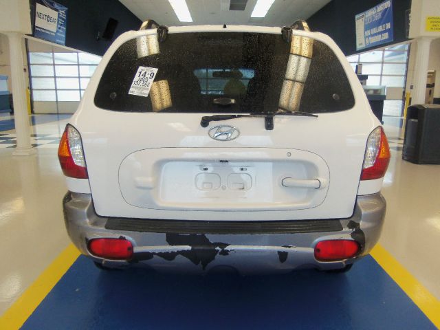 Hyundai Santa Fe 2003 photo 8