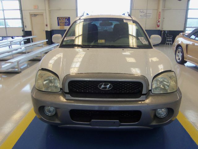 Hyundai Santa Fe 2003 photo 9