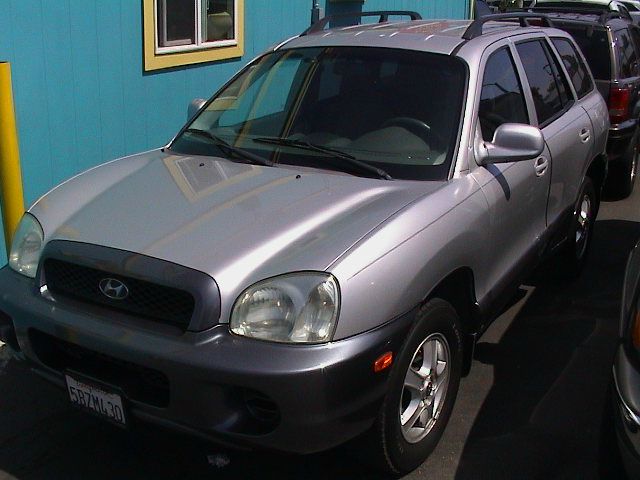 Hyundai Santa Fe 2003 photo 1